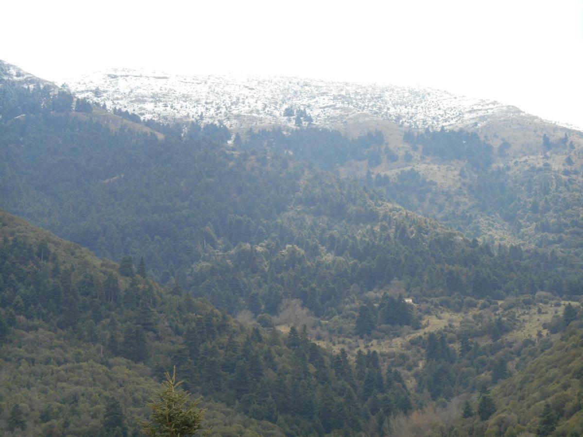 Amadriades Kalavryta Esterno foto
